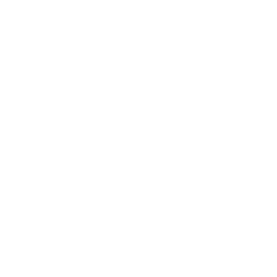 MINTX_LOGO_WHITE